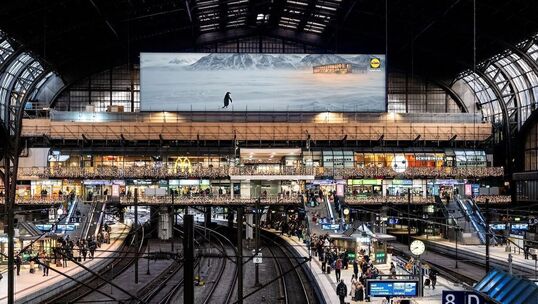 Bild: Zwischen Politik und Popkultur: Wie Lidl die Hoheit über den Nihilist-Pinguin behält