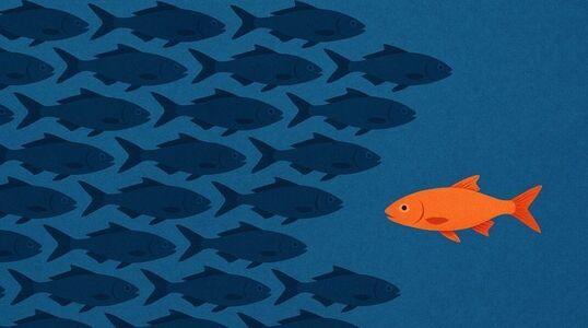 Bild: Zwischen Tabubruch und Haltung: Die mutigsten Marketing-Moves der CMOs