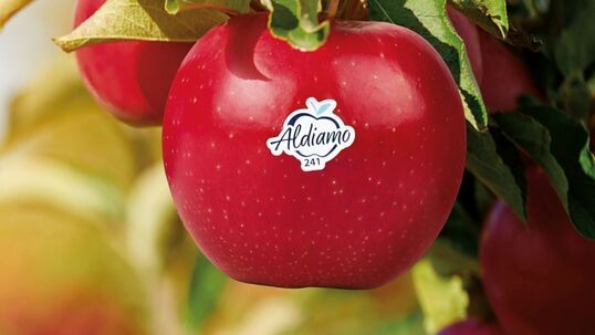 Bild: Aldi mit eigener Apfelsorte