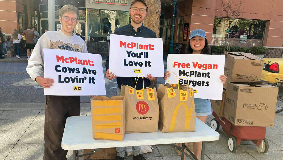 Kuh-le Aktion: PETA schließt Frieden mit McDonald’s und verschenkt den McPlant.