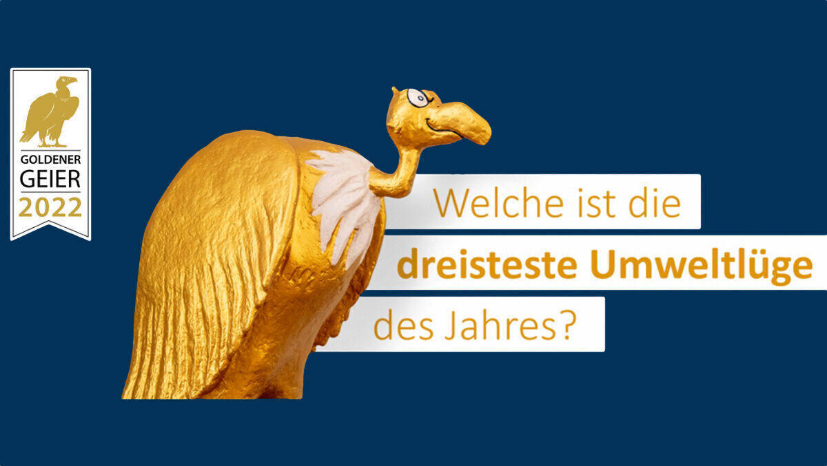 Wer gewinnt den goldenen Geier 2022?