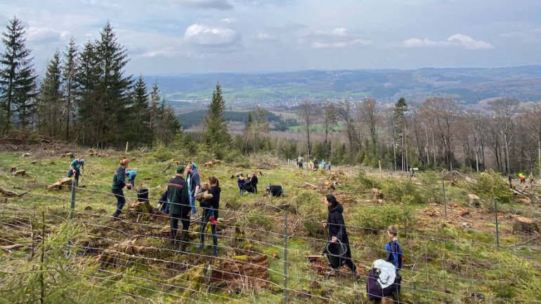 Beim "Zukunftswald" pflanzt das Krombacher-Team mit.