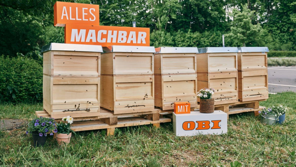 Die Bienen stehen im Fokus der neuen Kampagne von Obi.