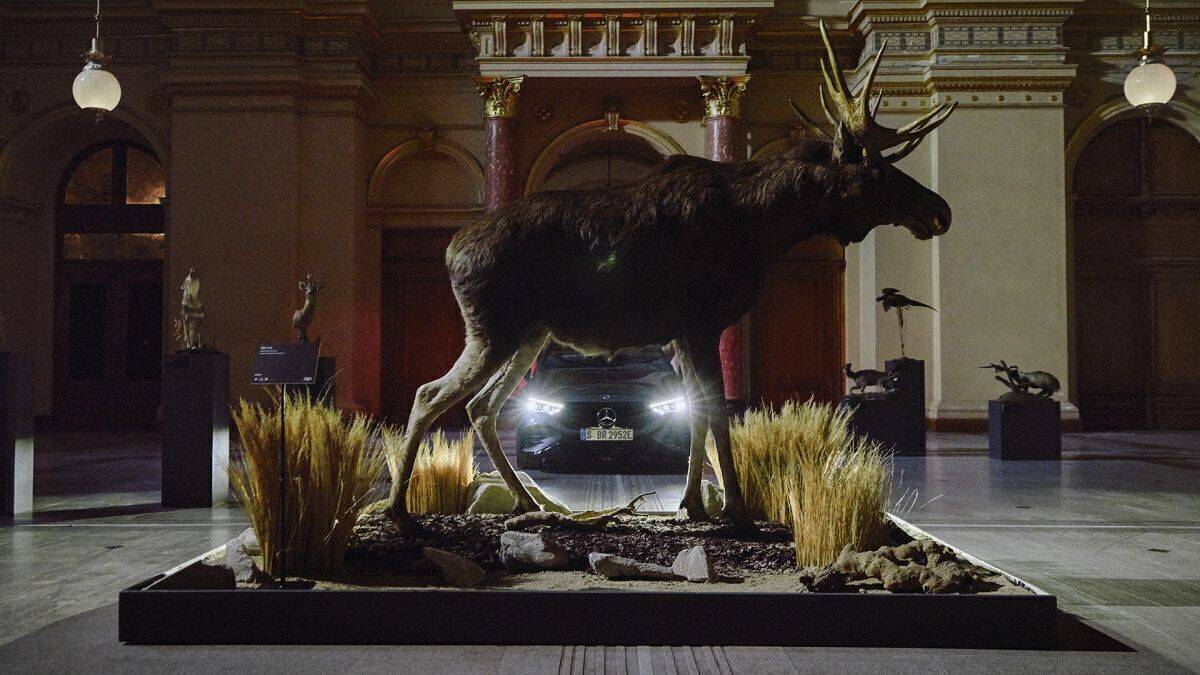 Vorsicht Elch - hier im Mercedes-Museum.