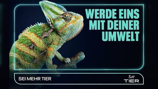 "Behave like an animal" betont den Umweltaspekt. Dennoch können wir Menschen noch viel mehr von unseren tierischen Genossen lernen, sagt das Unternehmen.