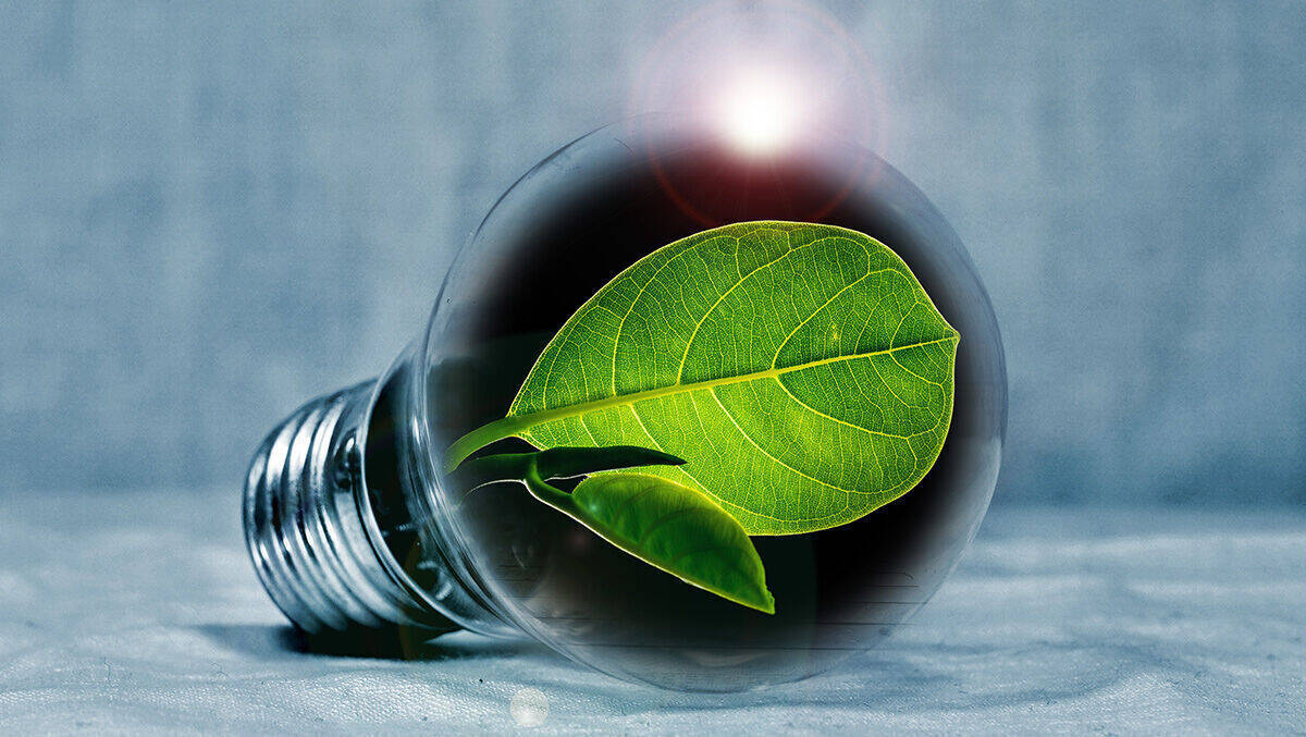 Grüner Strom: Nicht nur im Haushalt gibt es jede Menge Einspar-Potenzial.