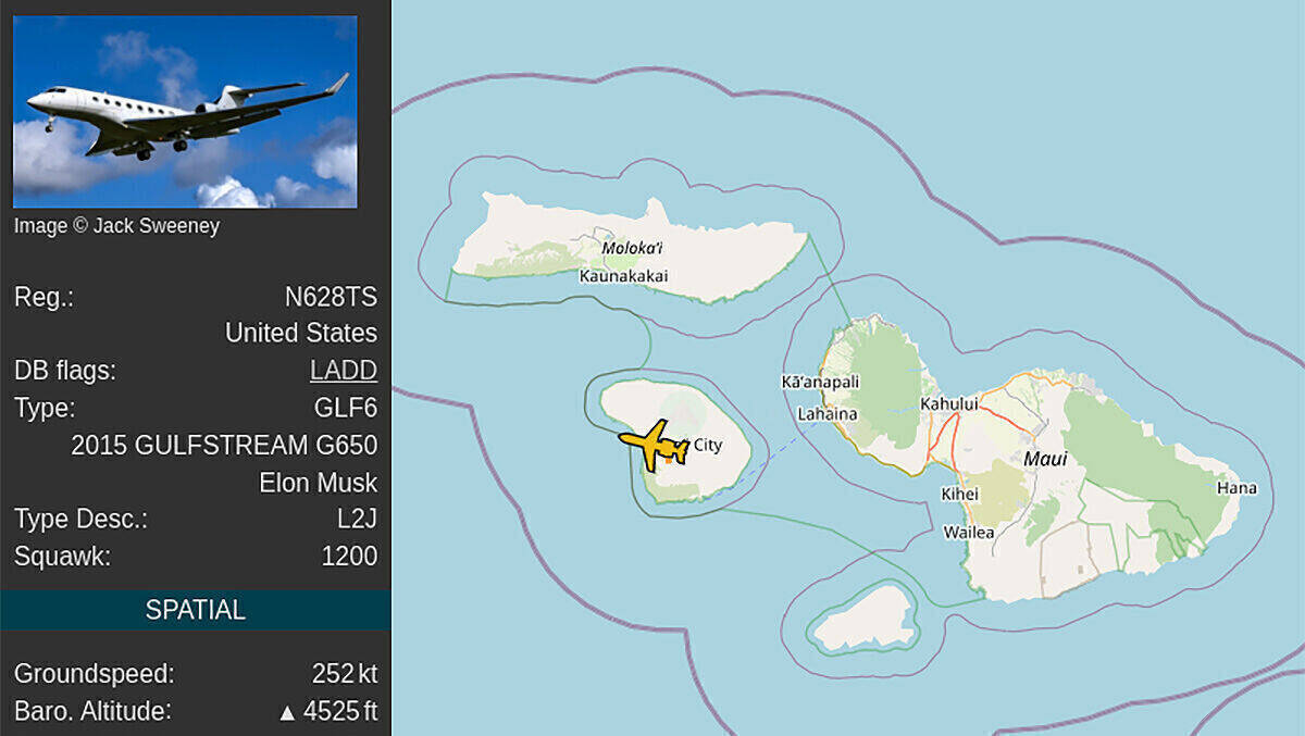 Elon Musk über Hawaii. Ein Twitter-Account hat diese Flüge bisher gepostet.