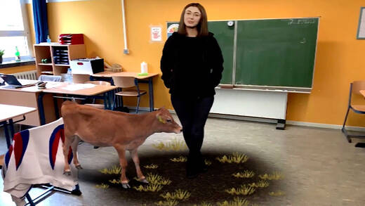 WDR-Klima-App – nur echt mit der Kuh im Klassenzimmer.