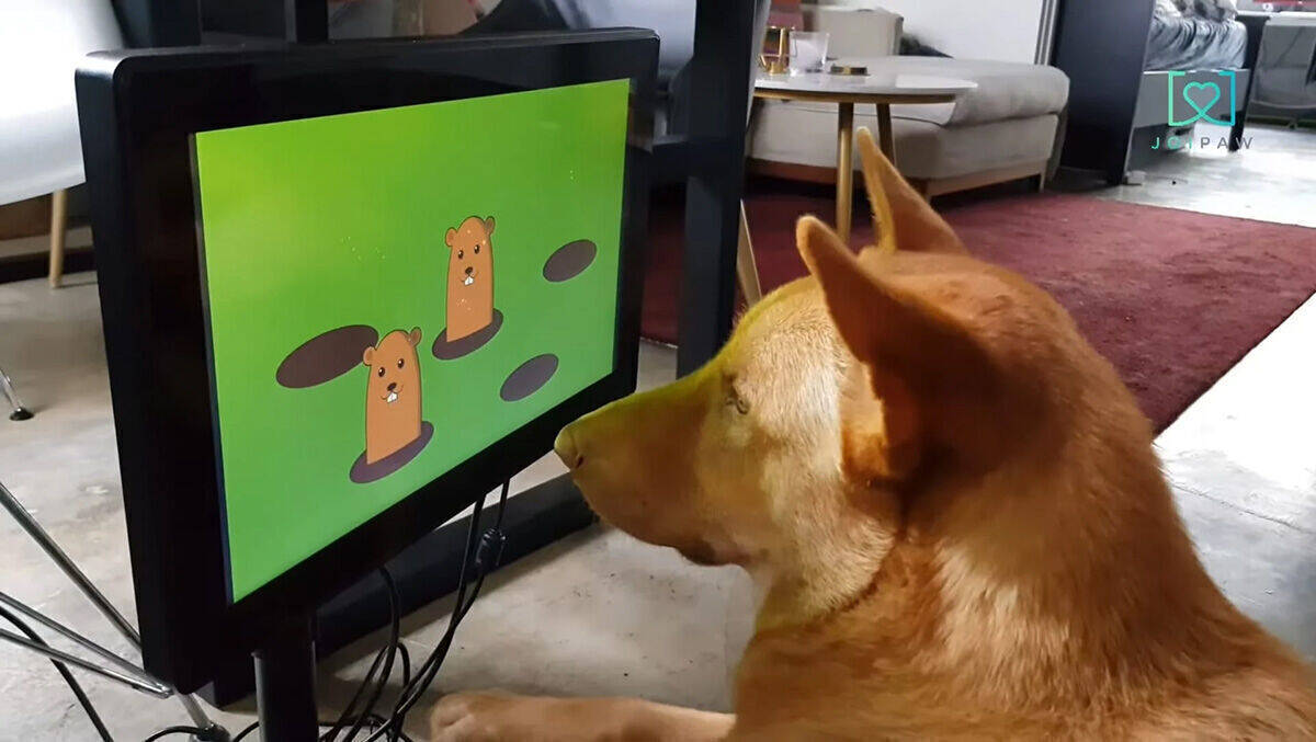 Die Hunde-PlayStation funktioniert per Touch mit der Schnauze.