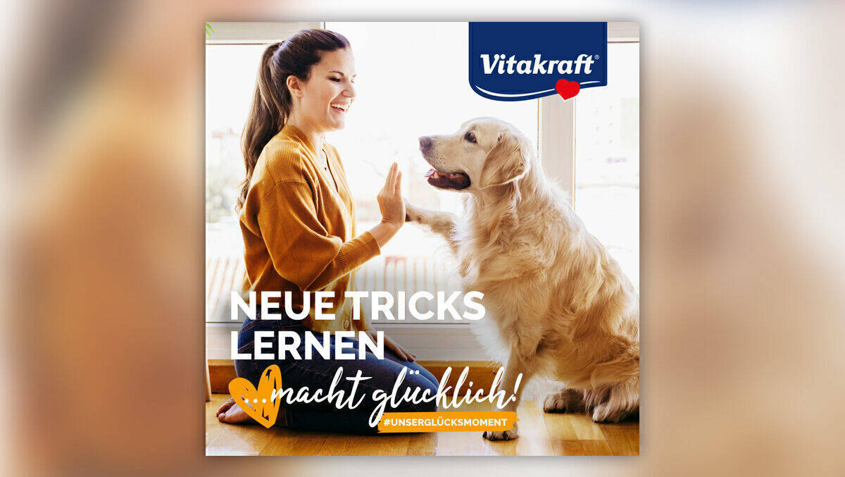 Vitakraft geht weg von der Einzelmarkenstrategie: Die neue Dachmarkenkommunikation soll Besitzer:innen aller Haustierarten gleichermaßen ansprechen.