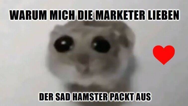 Traurig und erfolgreich: der "Sad Hamster" alias "Hamsti".