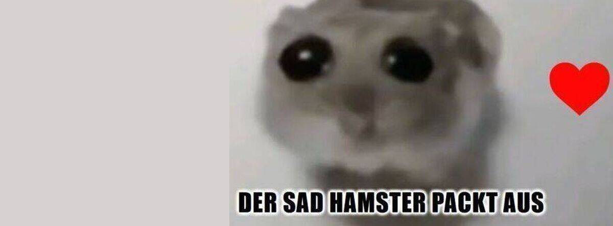Traurig und erfolgreich: der "Sad Hamster" alias "Hamsti".