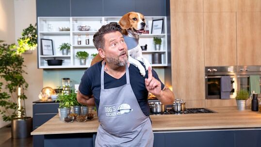 Bild: Zwischen Napf und Narrativ: Darum ist TV-Koch Mike Süsser in „Dog’s Kitchen“ gelandet