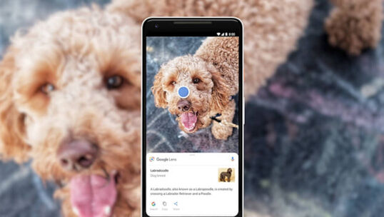 Das sind die neuen Funktionen von Google Lens