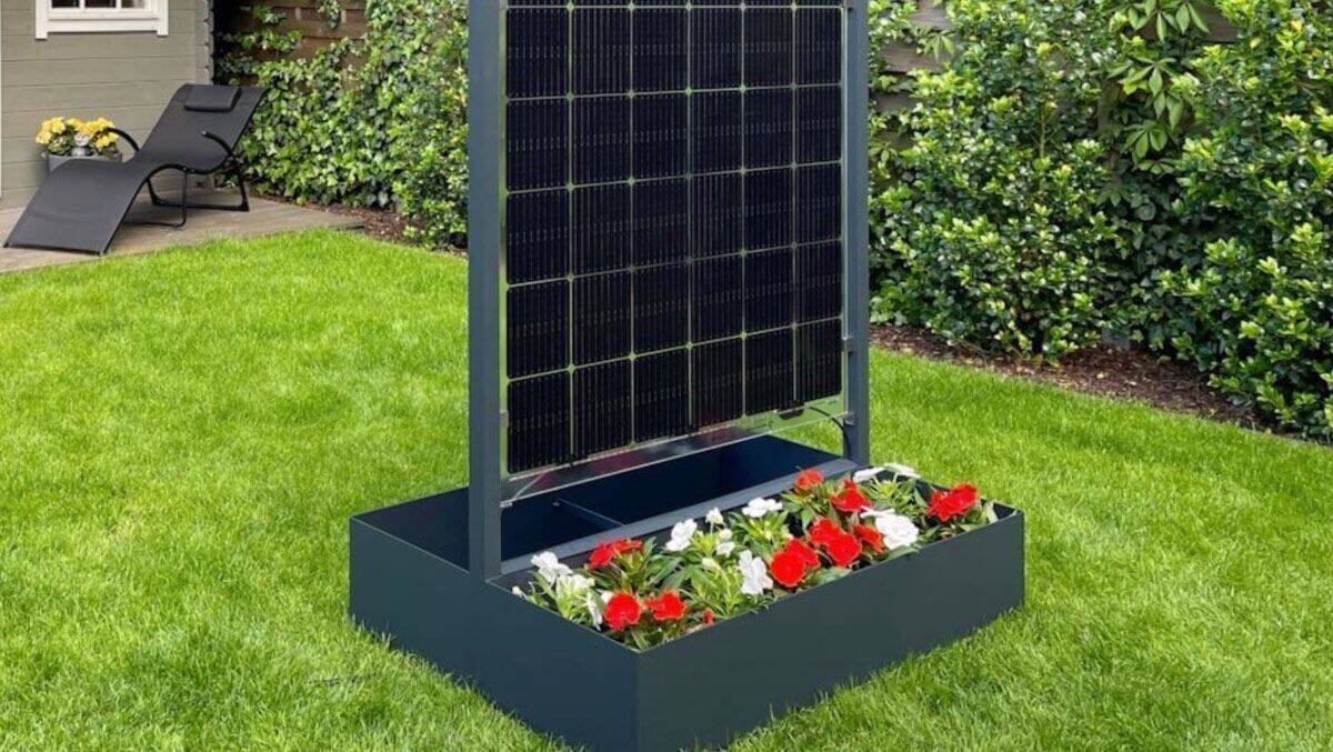 Always the sun: So können nicht nur Blumen gedeihen.