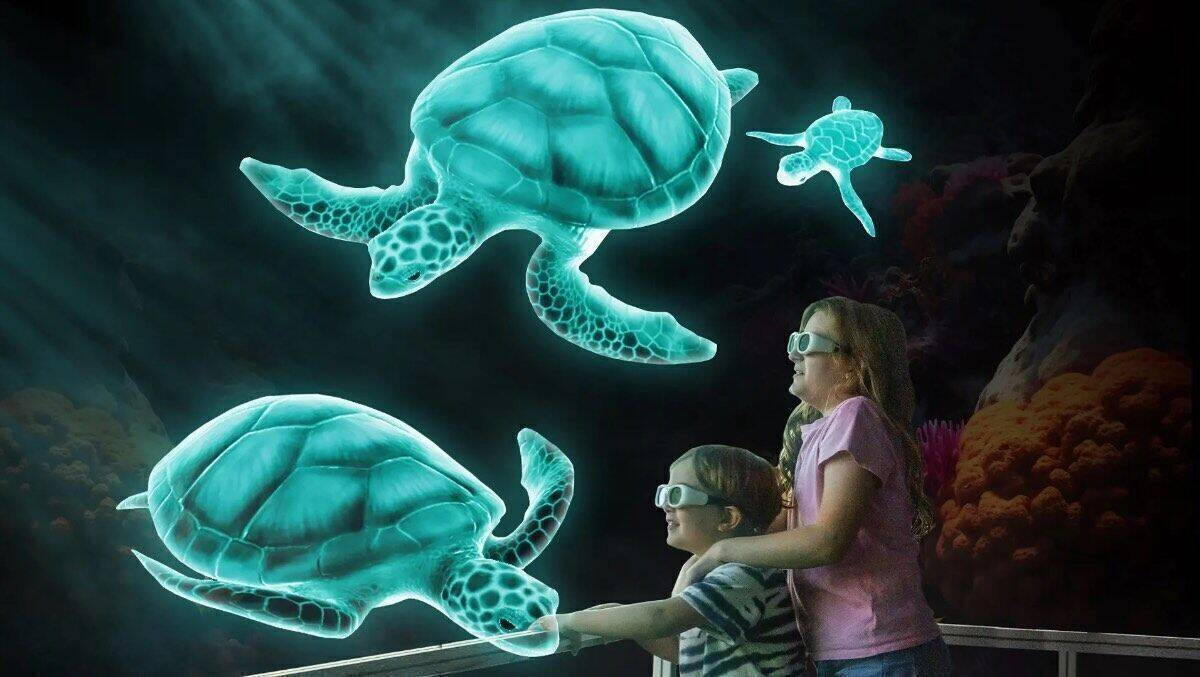 Nicht live, aber dank KI lebendig: Hologramm-Schildkröten in Brisbane.