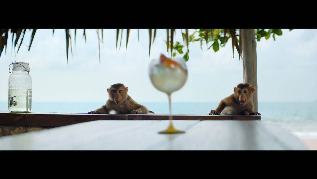 Versuchter Raub in der Strandbar: der neue Schweppes-Spot von BETC mit drei Äffchen in Action.