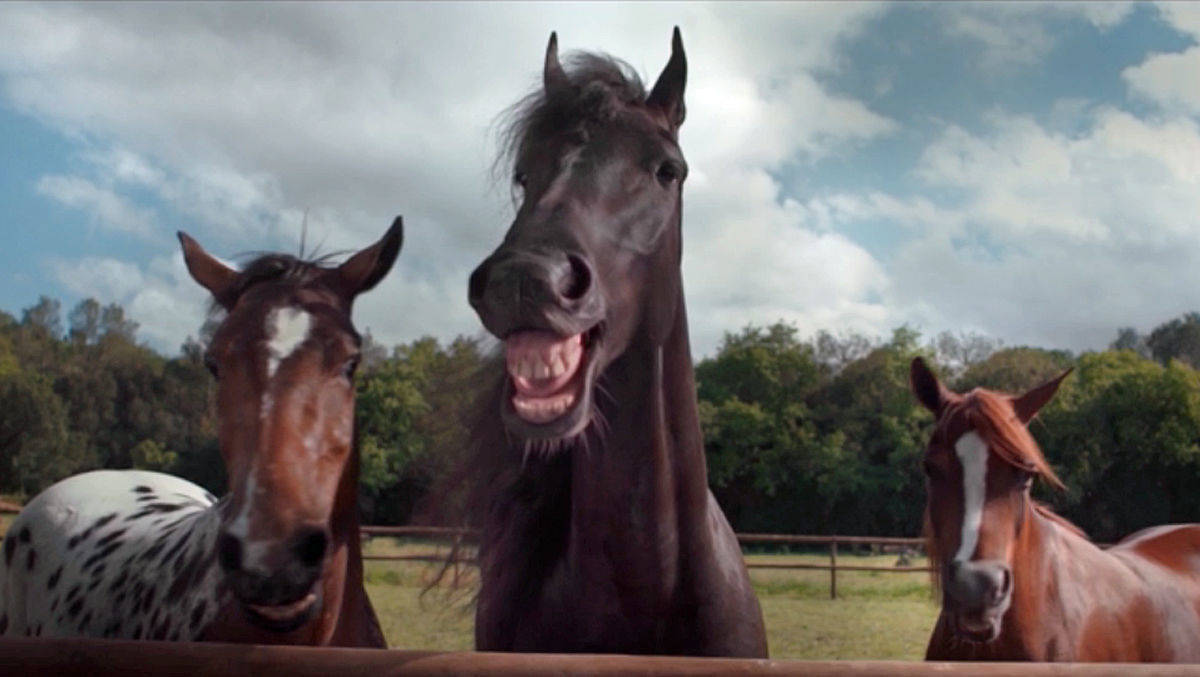 "Lachende Pferde": Grabarz & Partner gewinnt am letzten Tag zwei Filmlöwen für den VW-Spot.