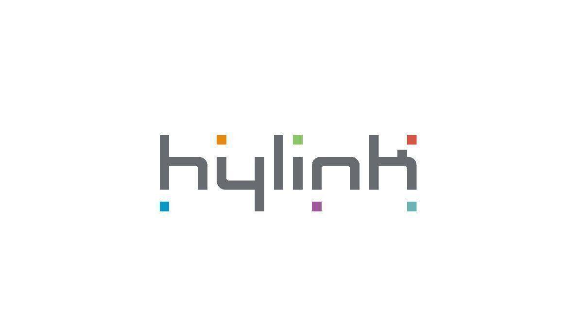 Hylink: Optimal für Kunden, die nach China exportieren wollen. 