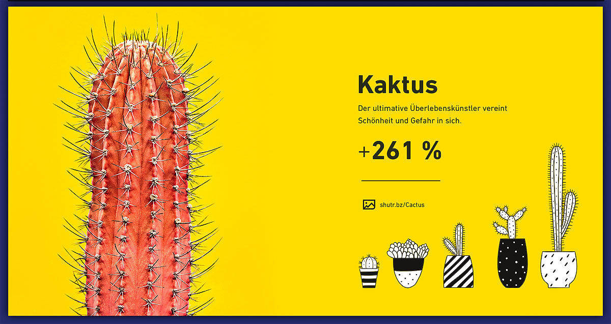 Infografik: Die wichtigsten Kreativtrends laut Shutterstock.