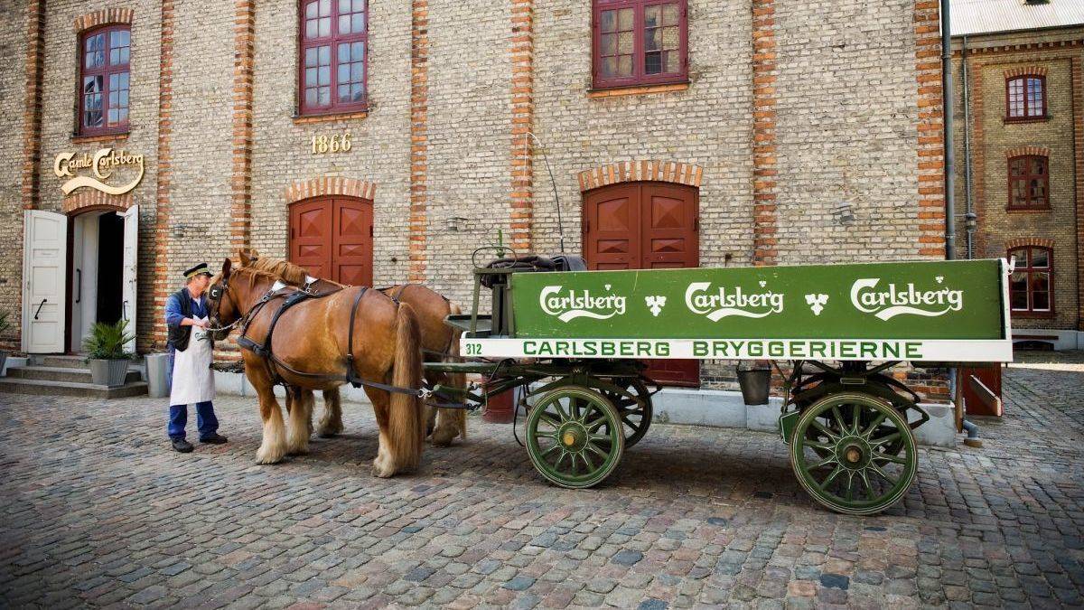 Carlsberg will den Markt für alkoholfreies Bier aufmischen.