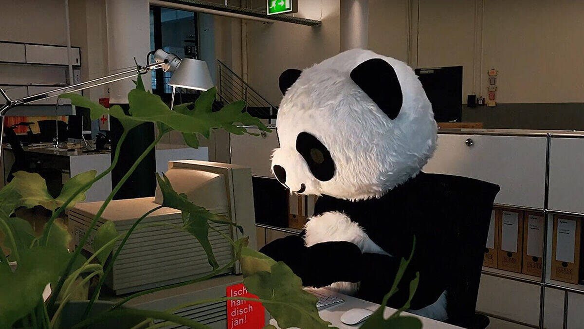 Panda allein zuhaus