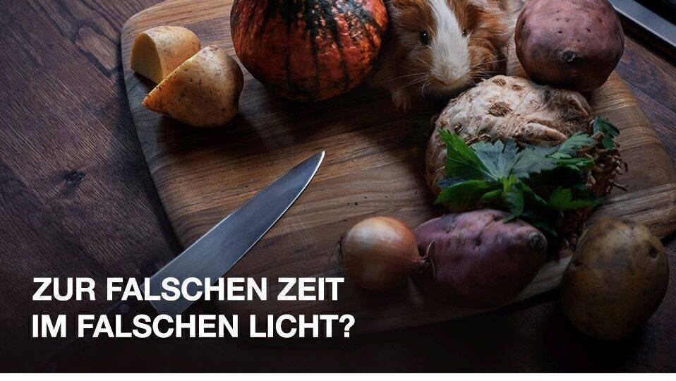 Passt das Licht nicht, droht Verwechslungsgefahr.