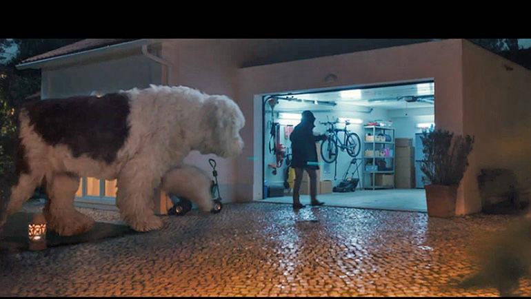 Knuddelig, aber eine Tonne schwer: Doug the Dog.