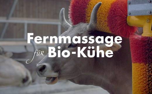 Per Knopfdruck im Shopping-Center werden die Kuh-Massagebürsten in Betrieb gesetzt.