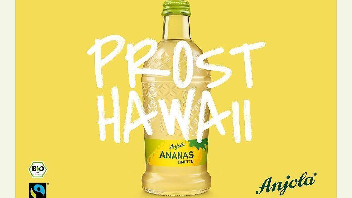 Prost Hawaii, ein neuer Etat für Wynken Blynken & Nod.