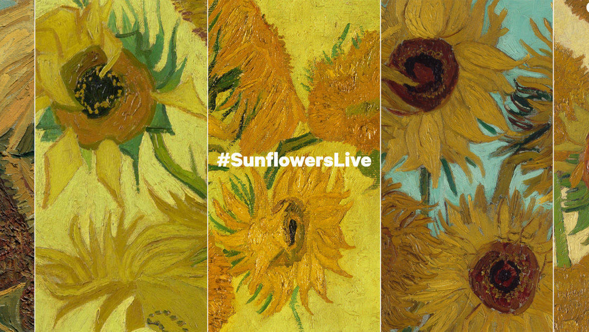 Fünf Museen auf drei Kontinenten bringen in der digitalen Ausstellung erstmals die Sonnenblumen-Serie von Vincent van Gogh zusammen.