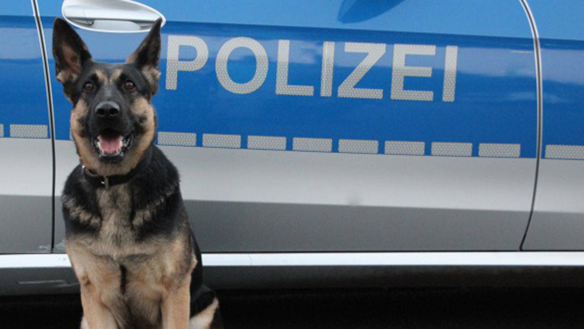 Die Polizei Hamburg ist nicht nur auf der Straße im Einsatz, sondern auch im Netz.