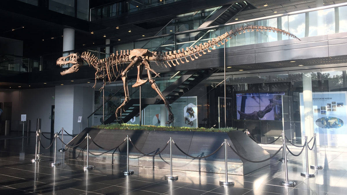 Der T.rex im Atrium des Süddeutschen Verlages.