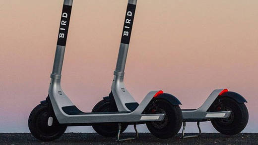 Bird-Scooter