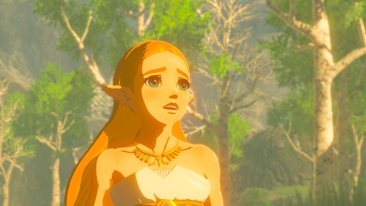 Szene aus dem "Zelda"-Spiel "Breath of the Wild".