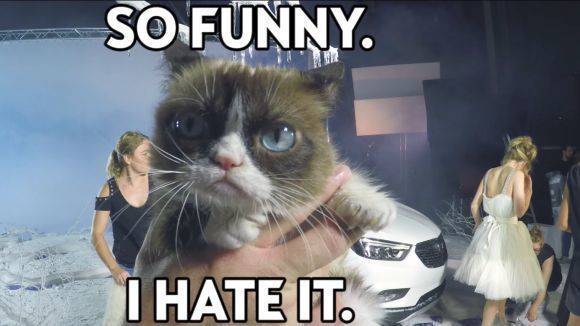 Opel arbeitet mit der "Grumpy Cat" zusammen.