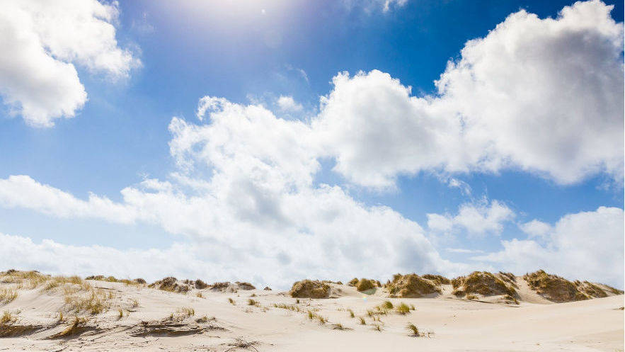 Traumjob auf Norderney zu vergeben. 