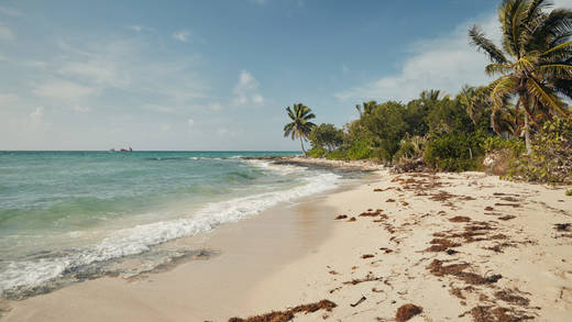 Das Bahamas Sabbatical ist ein Projekt, das vom Bahamas National Trust gefördert, vom Tourismusministerium der Bahamas unterstützt und von Airbnb gesponsert wird.