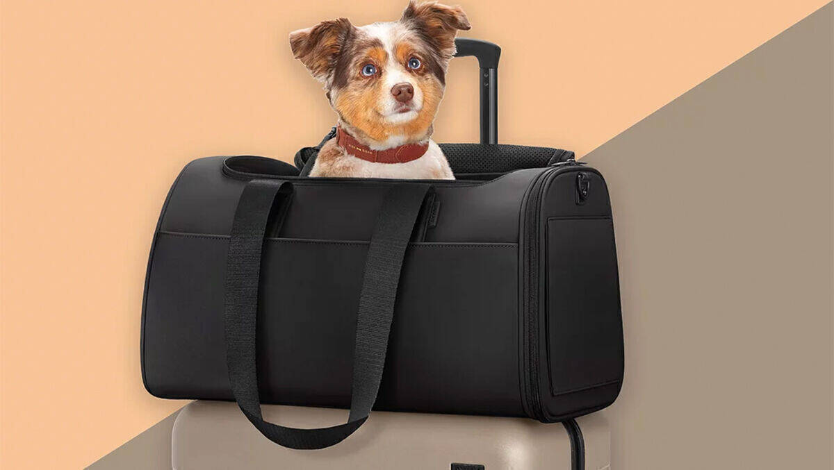 Away launcht Reisegepäck für Haustiere