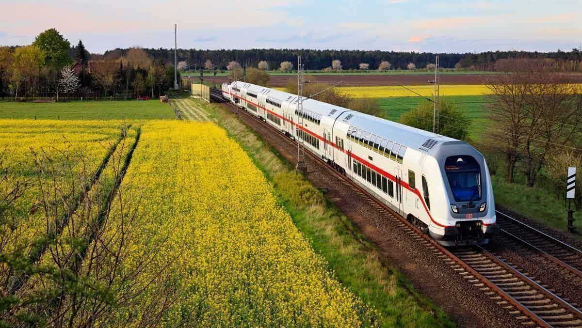 Die Verkehrsunternehmen hoffen auf mehr Fahrgäste.