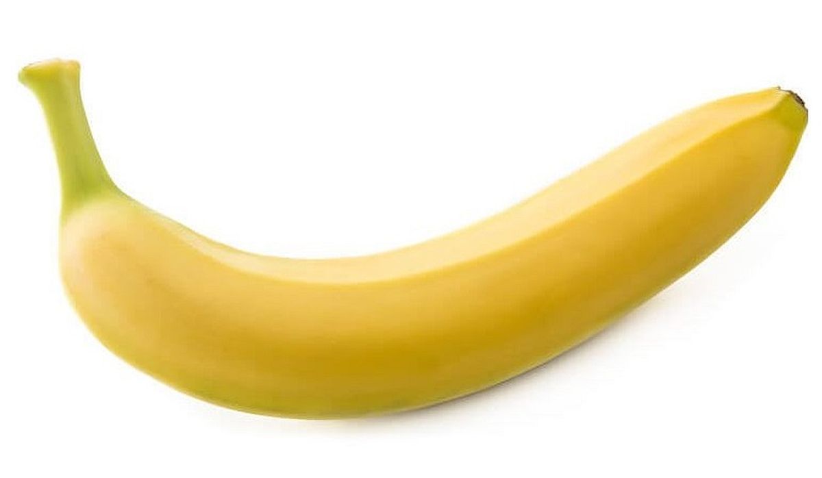 Suche nach Tag: bananen sex Suche nach Tag: bananen sex