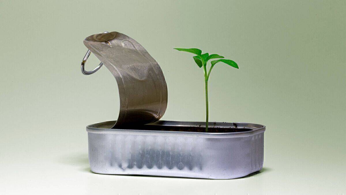 Seien Sie beim Green Marketing Start-up-Pitch dabei.