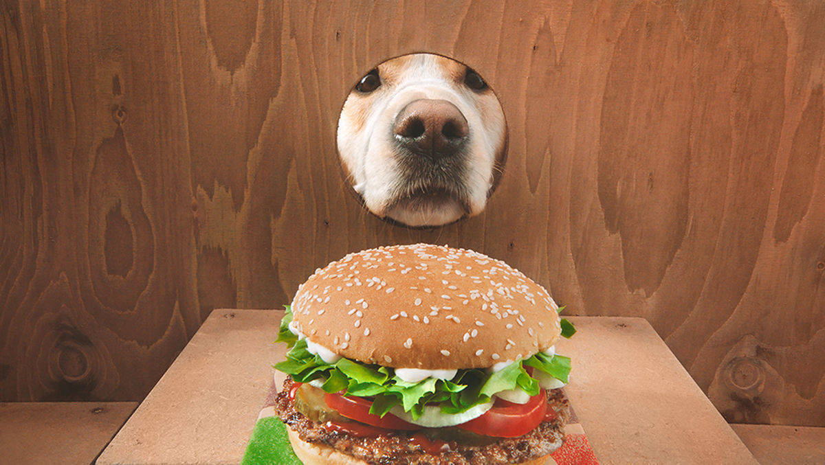 Burger Kind bringt den Whopper Dog zum Einsatz.