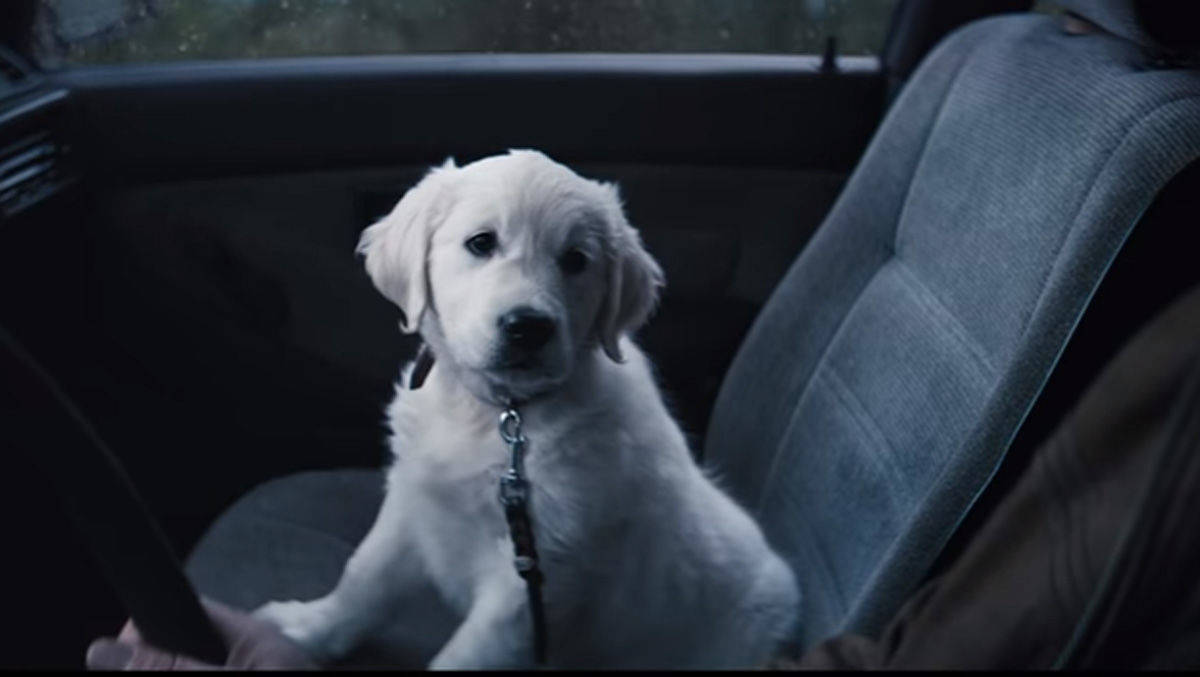 Smart setzt in seinem neuen Spot auf Welpen-Power.