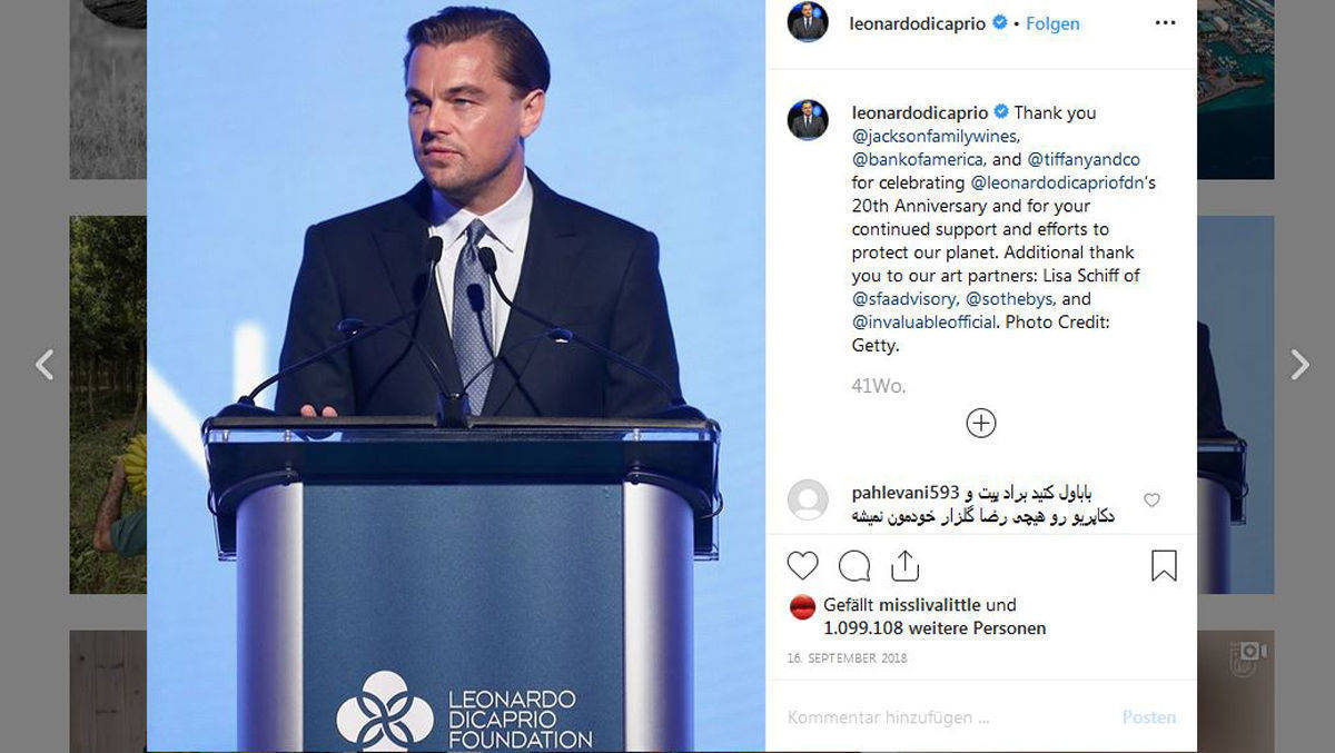 Im vergangenen Jahr feierte die Stiftung von Leonardo DiCaprio 20-jähriges Bestehen.