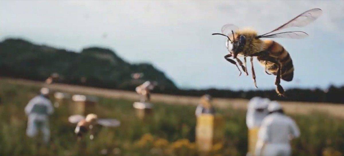 Die Natur ist das Hauptthema der neuen Bahn-Kampagne.