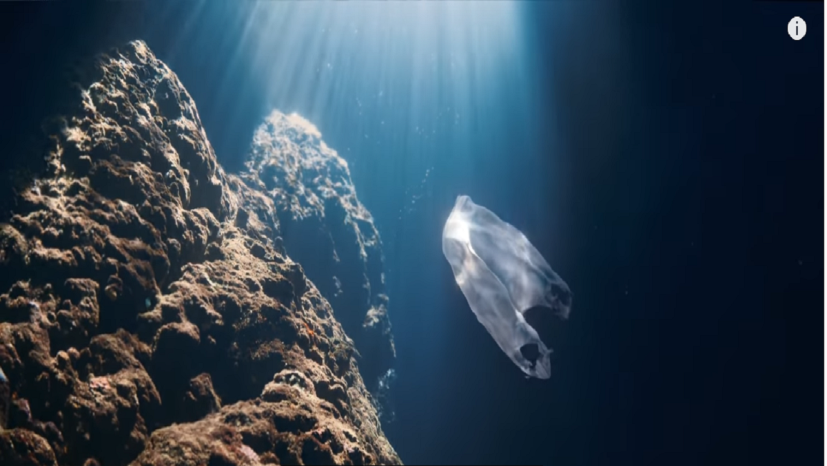 Der zweiminütige Spot zeigt das Leben unter Wasser - und wie sehr Abfall diese Welt inzwischen belastet.