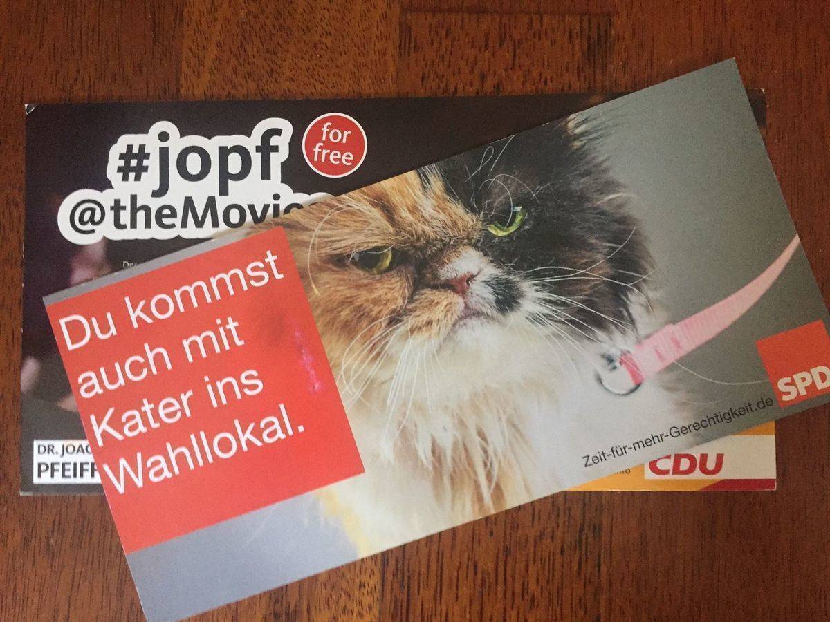 Würden Katzen SPD wählen?