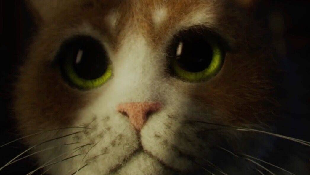 Die US-Katzenfutter-Marke Tempations bringt mit "Scaredy Cat" den ersten Horrorfilm für Katzen auf die Leinwand.