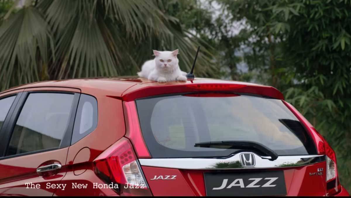Honda wirbt mit Katzen-Content.